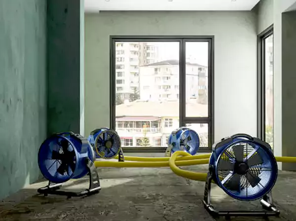 Water Removal Services in Hogansville