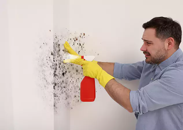 Your Water Mold Fire Restoration Partner in Hogansville, GA