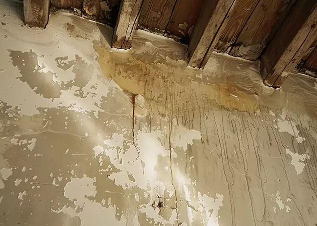 Your Trusted Restoration Company in Hogansville, GA