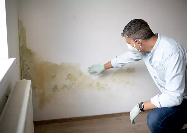 Reach Our Remediation Team Before Damage Grows in Hogansville, GA!