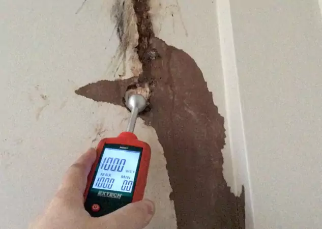 Your Water Damage Assessment Partner in Hogansville, GA