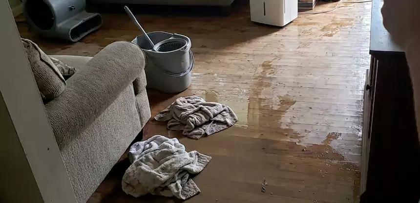 Professional Basement Water Remediation Services in Hogansville, GA