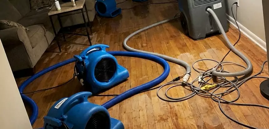 Basement Flood Restoration Services in Hogansville
