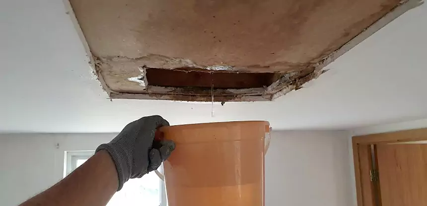 Ceiling Mold Repair Hogansville 