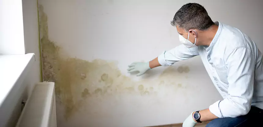 Mold and Water Damage Repair in Hogansville