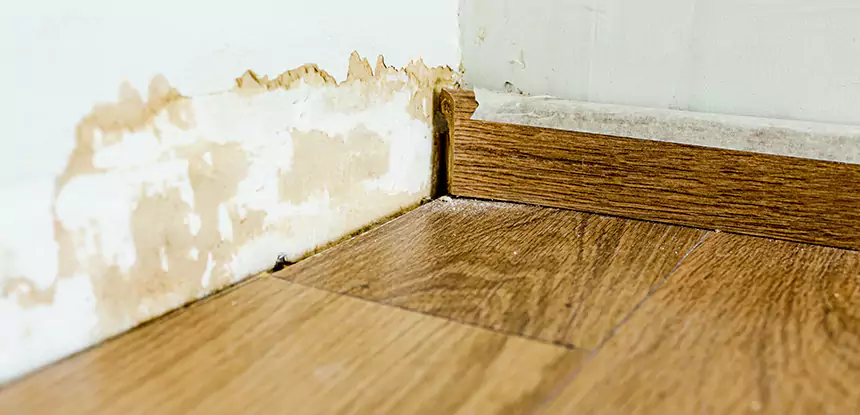Professional Fix Water Damaged Wood Services in Hogansville, GA