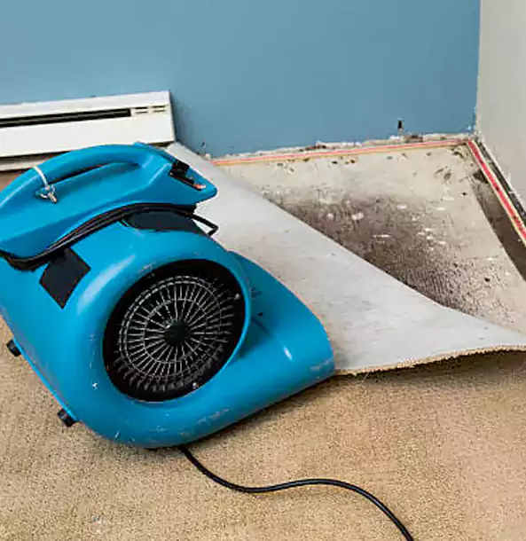 Why Hogansville Trusts Hogansville Restoration Pro for Carpet Flood Recovery?