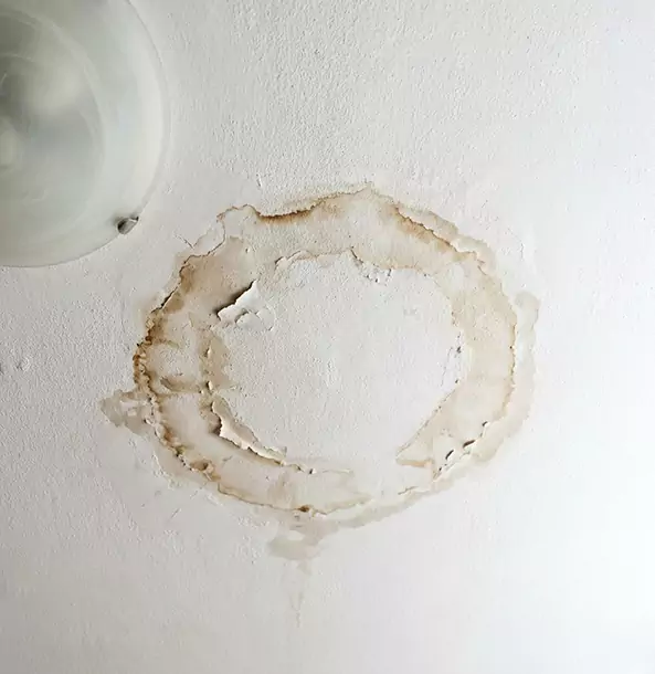 Why Hogansville Property Owners Choose Hogansville Restoration Pro for Ceiling Water Damage Restoration?