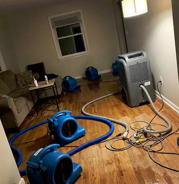 Why Hogansville Property Owners Rely on Hogansville Restoration Pro for Remediation?