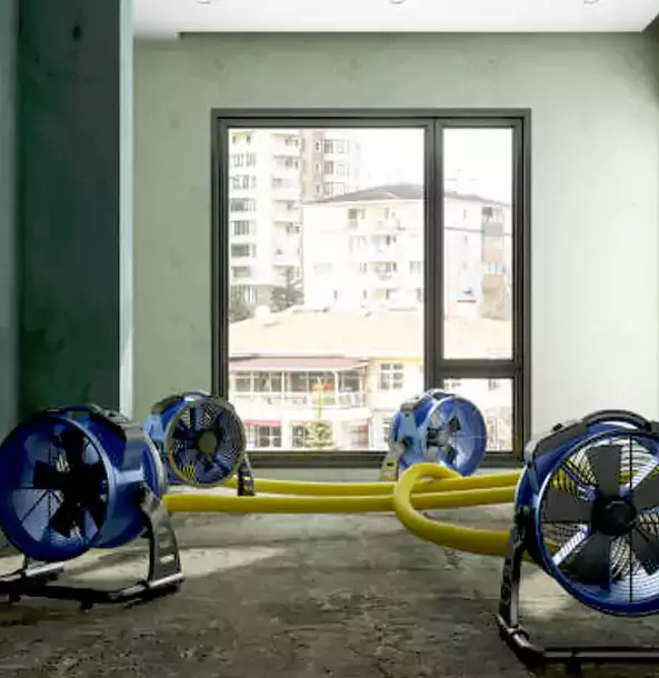 Why Hogansville Property Owners Trust Hogansville Restoration Pro for Water Damage Drying?