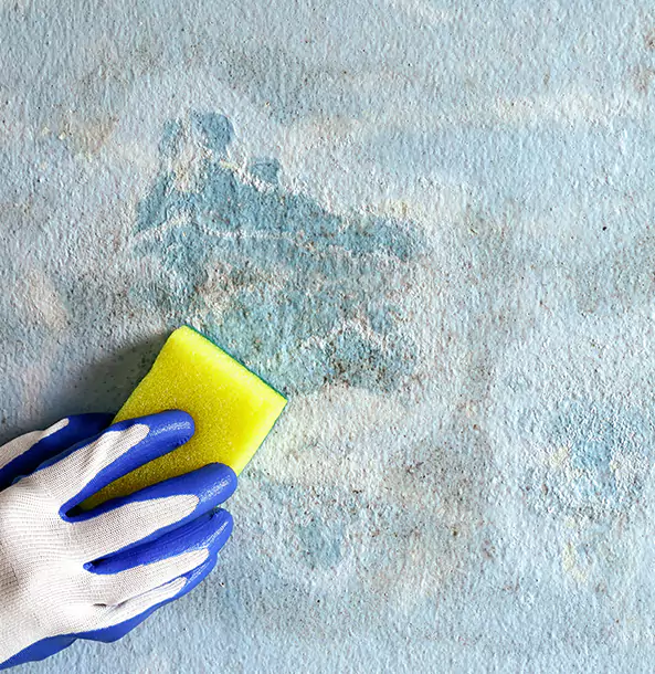 Why Hogansville Restoration Pro Is the Right Choice in Hogansville, GA?