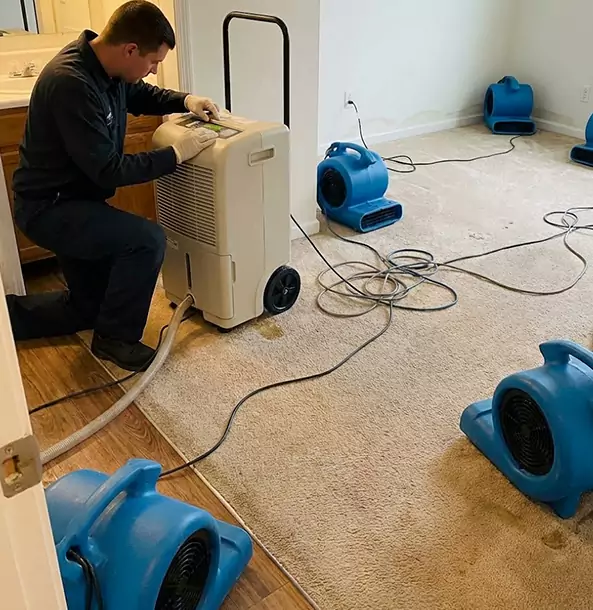 Why Hogansville Homeowners and Businesses Trust Hogansville Restoration Pro for Carpet Drying?