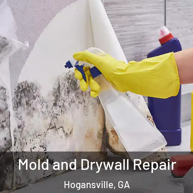  Mold and Drywall Repair Hogansville, GA