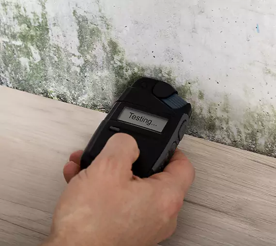 Mold Remediation Service Hogansville