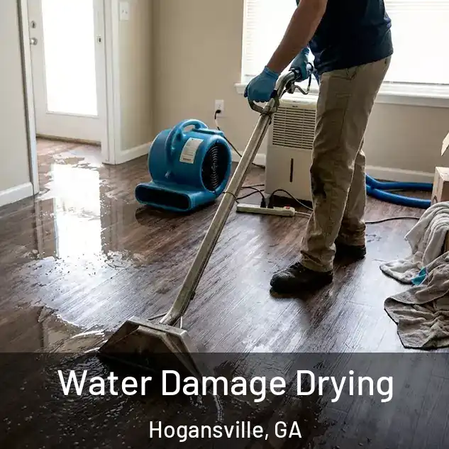  Water Damage Drying Hogansville, GA