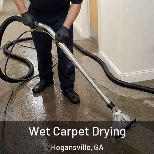  Wet Carpet Drying Hogansville, GA